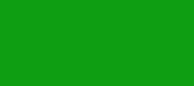 Color #0E9E12 Islamic Green (background png icon) HTML CSS