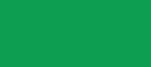 Color #0E9E52 Pigment Green (background png icon) HTML CSS