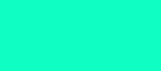Color #0FFFC3 Bright Turquoise (background png icon) HTML CSS