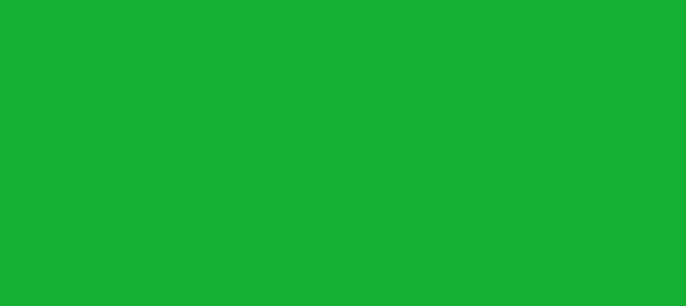 Color #15AF32 Dark Pastel Green (background png icon) HTML CSS