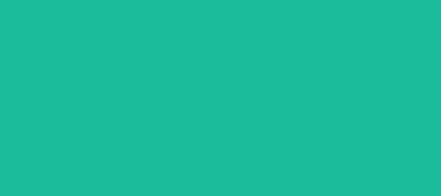 HEX color #1BBC9B, Color name: Light Sea Green, RGB(27,188,155), Windows:  10206235. - HTML CSS Color