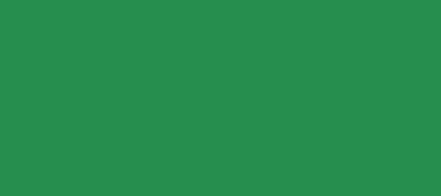 Color #268E4E Sea Green (background png icon) HTML CSS