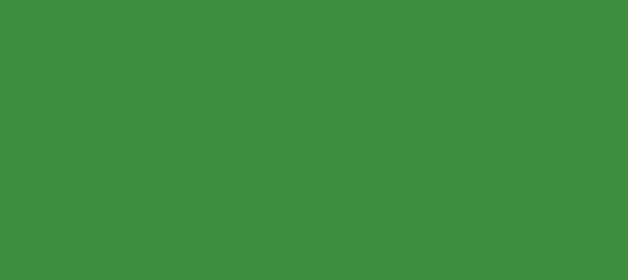 Color #3F8E3E La Palma (background png icon) HTML CSS