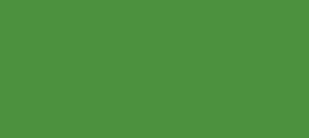 Color #4C913D La Palma (background png icon) HTML CSS