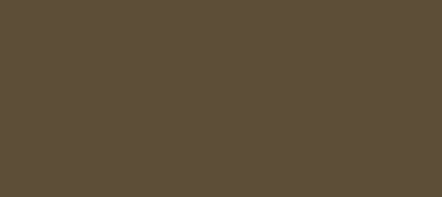 HEX color #5D4E37, Color name: Metallic Bronze, RGB(93,78,55), Windows:  3624541. - HTML CSS Color