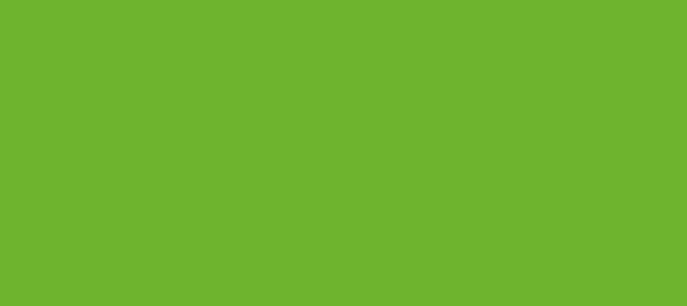 Color #6EB42E Christi (background png icon) HTML CSS