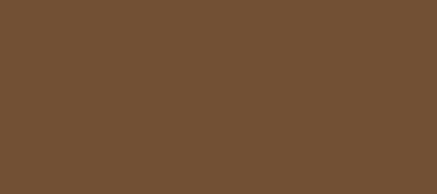 HEX color #725034, Color name: Old Copper, RGB(114,80,52), Windows:  3428466. - HTML CSS Color