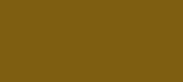 Color #7E5E11 Yukon Gold (background png icon) HTML CSS