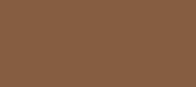 HEX color #855E42, Color name: Dark Wood, RGB(133,94,66), Windows: 4349573.  - HTML CSS Color
