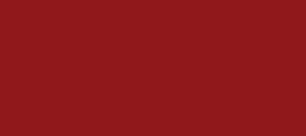 HEX color #90181B, Color name: Flame Red, RGB(144,24,27), Windows: 1775760.  - HTML CSS Color