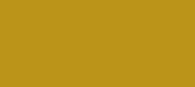 HEX color #BB9419, Color name: Buddha Gold, RGB(187,148,25), Windows:  1676475. - HTML CSS Color