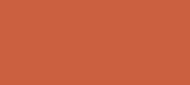 Color #CC5E41 Dark Coral (background png icon) HTML CSS