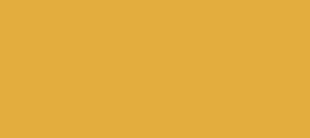 Color #E3AD3E Tulip Tree (background png icon) HTML CSS