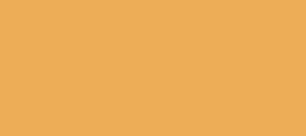 Color #EDAD57 Casablanca (background png icon) HTML CSS